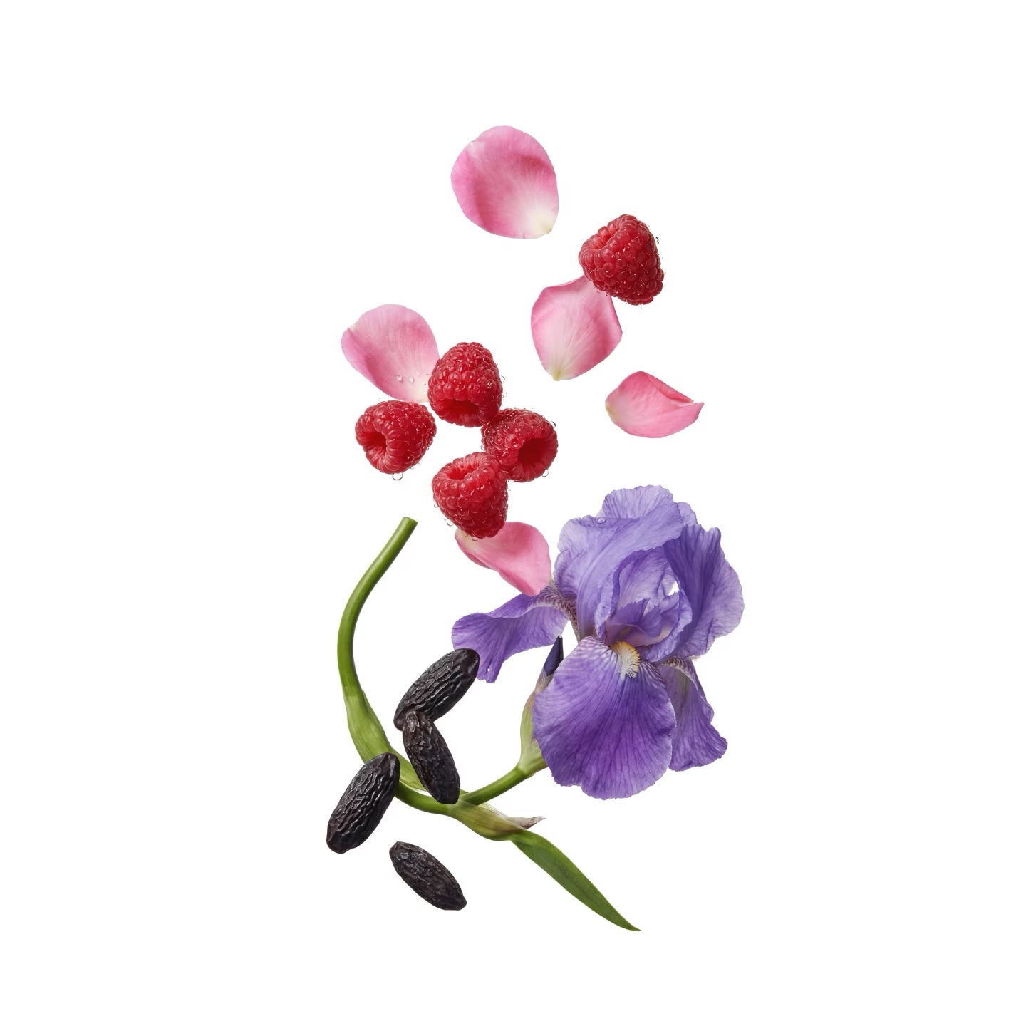 مسس لافيرني